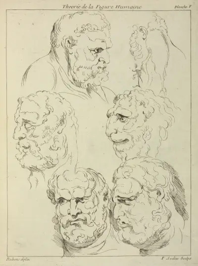 Studies of the head of a bearded man, and the head of a creature av Peter Paul Rubens