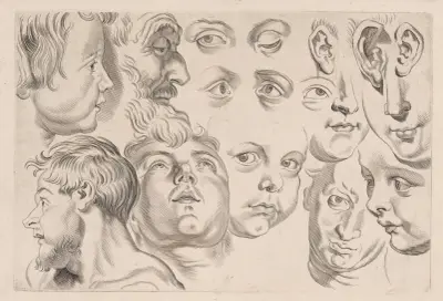 Huvudstudie – nr 3 av Peter Paul Rubens