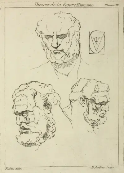 Three studies of a man’s head and beard av Peter Paul Rubens