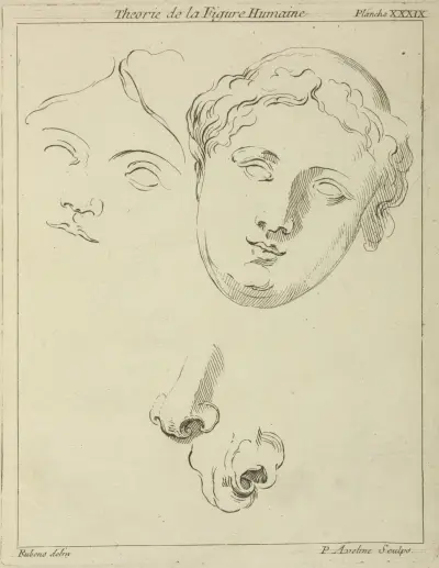 Two human female faces and two noses–one human, animal av Peter Paul Rubens