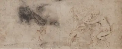 Venus Disarming Mars, Drapery Study av Peter Paul Rubens