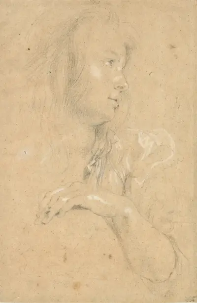Young Woman in Profile av Peter Paul Rubens