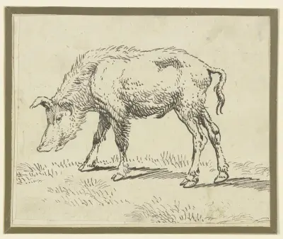 A pig to the left von Paulus Potter