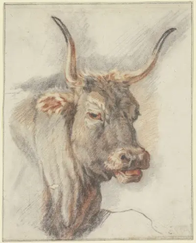 An ox head von Paulus Potter