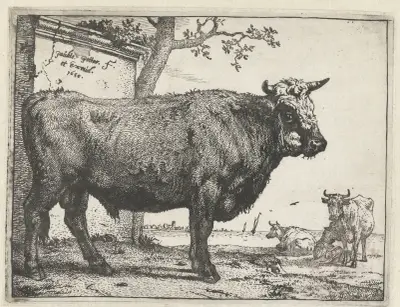 Bull von Paulus Potter
