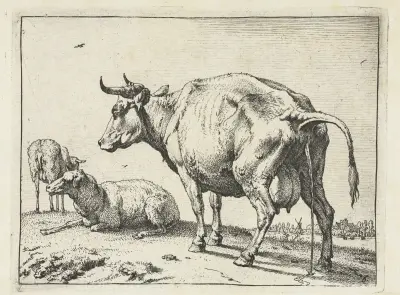 Cow peeing von Paulus Potter