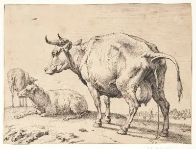 En pissende ko von Paulus Potter