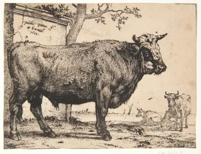 En tyr von Paulus Potter