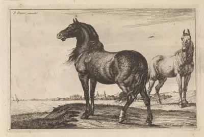 Hinnikend paard Paarden von Paulus Potter