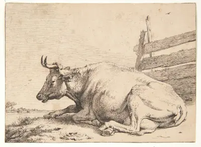 Ko liggende ved et hegn von Paulus Potter