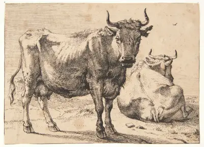 Stående og liggende ko von Paulus Potter