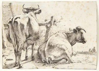 To køer, set bagfra von Paulus Potter