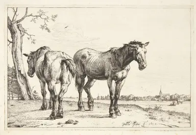 To pløjeheste von Paulus Potter