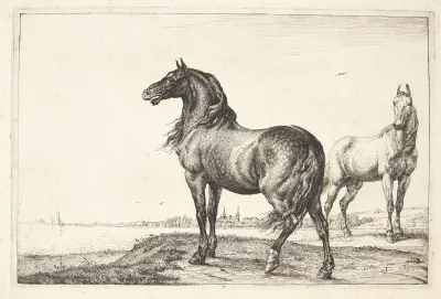 Vrinskende hest von Paulus Potter