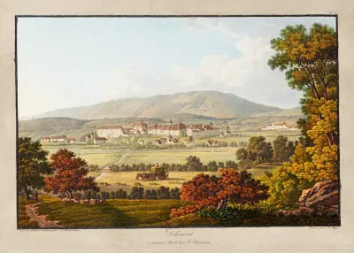Delémont av Peter Birmann