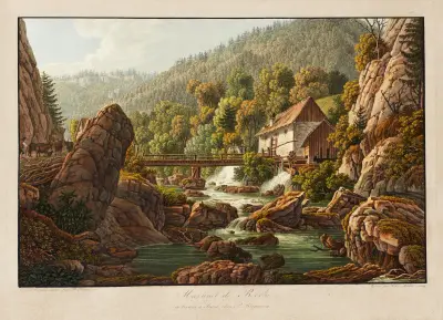 Martinet de Roche av Peter Birmann