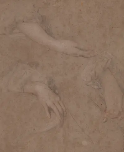 Drawings of Hands – Nr. 5 von Sir Peter Lely