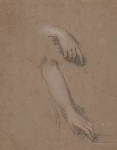 Drawings of Hands – Nr. 6 von Sir Peter Lely