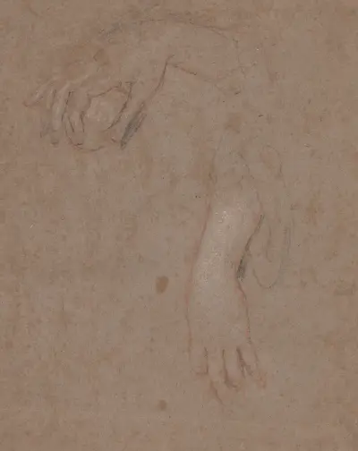 Drawings of Hands – Nr. 8 von Sir Peter Lely