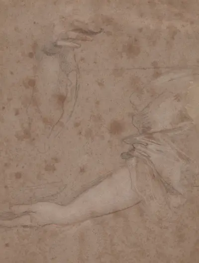 Drawings of Hands – Nr. 9 von Sir Peter Lely