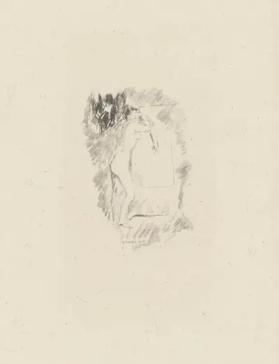 Akt przy toaletce, Pierre Bonnard