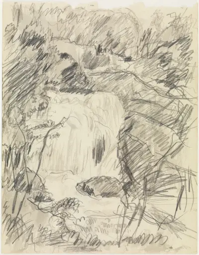 Wodospad, Pierre Bonnard