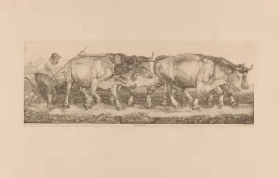 Pflügende Ochsen von Pieter Dupont