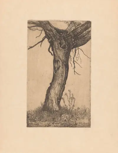 Weide, 1896 – Nr. 1 von Pieter Dupont