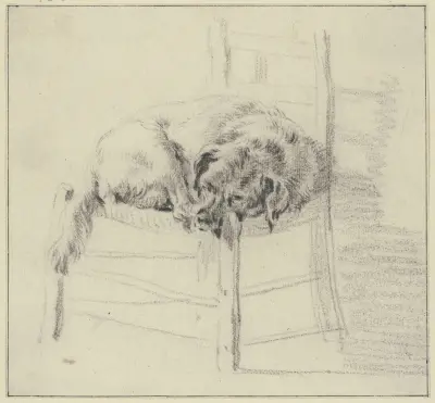 Ein Hund auf einem Stuhl liegend av Nicolaes Pietersz. Berchem