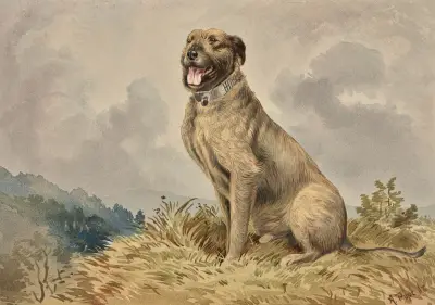 Seated Irish Wolfhound av Alexander Pope Jr.