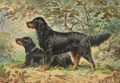 Two Gordon Setters, facing left, one standing, one reclining av Alexander Pope Jr.