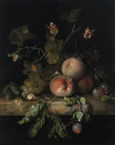 Peaches, grapes and plums with a dragonfly, snail, caterpillar, butterfly and other insects on a stone ledge av Rachel Ruysch