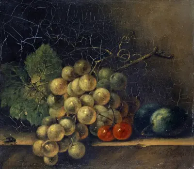 Martwa natura z winogronami, pestkowcami i muchą, Rachel Ruysch