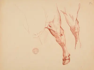 Étude de pattes de bovidé av Jacques-Raymond Brascassat