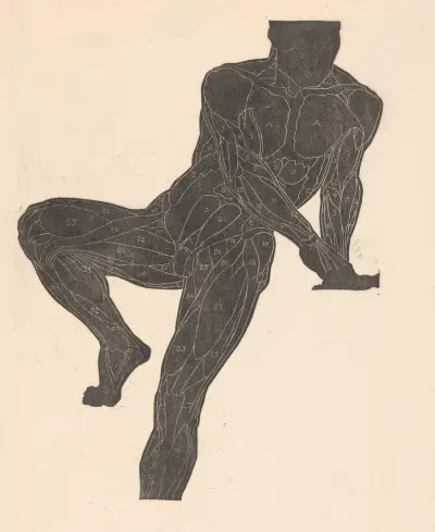 Studie der Brust-, Bauch- und Beinmuskeln, 1946 – Nr. 2 von Reijer Stolk