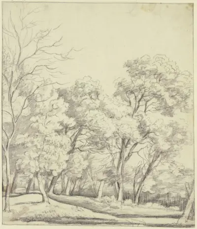 Forest section av Roelant Roghman