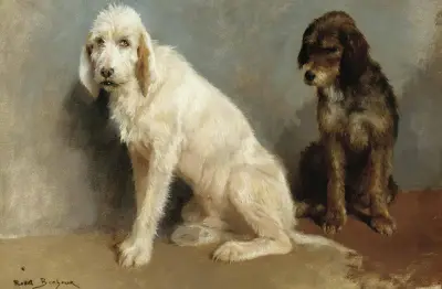 Studium dwóch psów, Rosa Bonheur