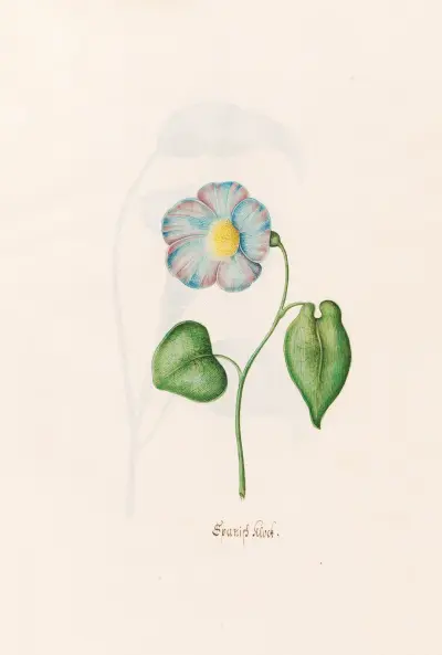 Spanish klock av Magdelena Rosina Funck