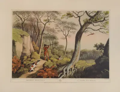 Fasanenjagd, 1 von Samuel Howitt