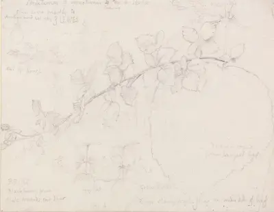 Brambles von Samuel Palmer