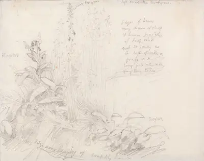 Foxgloves von Samuel Palmer