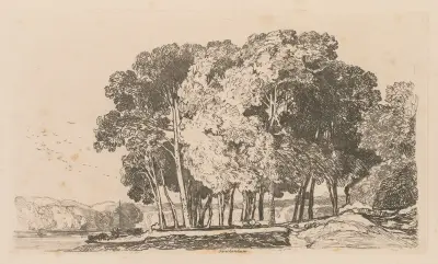 Bäume bei Twickenham von John Sell Cotman