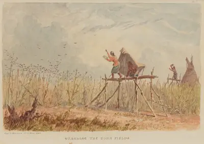 Guarding the Corn Fields von Seth Eastman