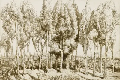 Road Song no. 5 av Donald Shaw MacLaughlan