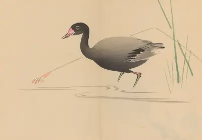Zeshin iboku tairyūkyo gafu, Pl.07 av Shibata Zeshin