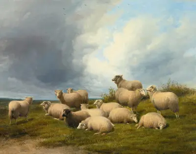 Sheep In A Pasture von Thomas Sidney Cooper