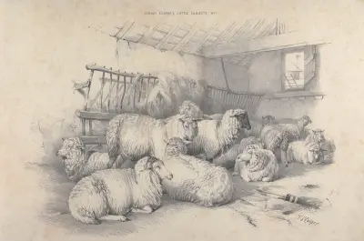 Thomas Sydney Cooper’s cattle subjects Pl.01 von Thomas Sidney Cooper