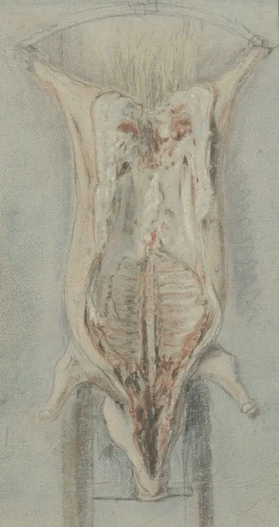 Slaktat varken på en läder, Jean Siméon Chardin