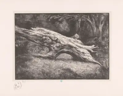 Boomstronk Le Charlemagne (Fontainebleau) von Simon Moulijn