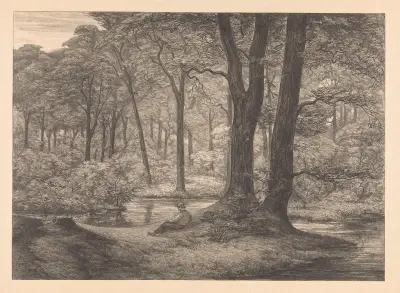 Gezicht op de Hunnenschans op de Veluwe De hunnenschans von Simon Moulijn